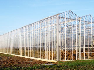 Glass Greenhouse