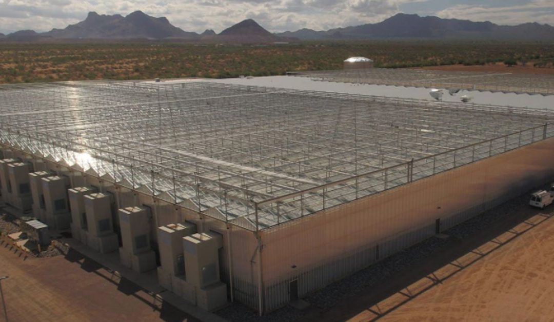 Greenhouses in a Very Warm and Desert Climates