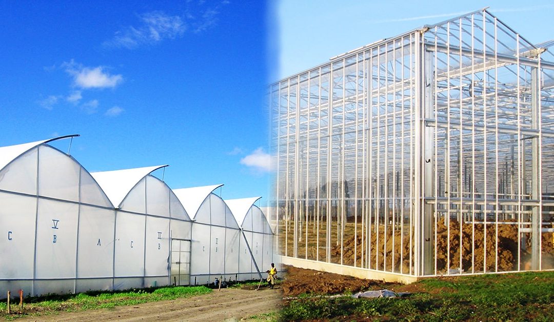 A Glass or a Foil Greenhouse… Which One to Choose ?