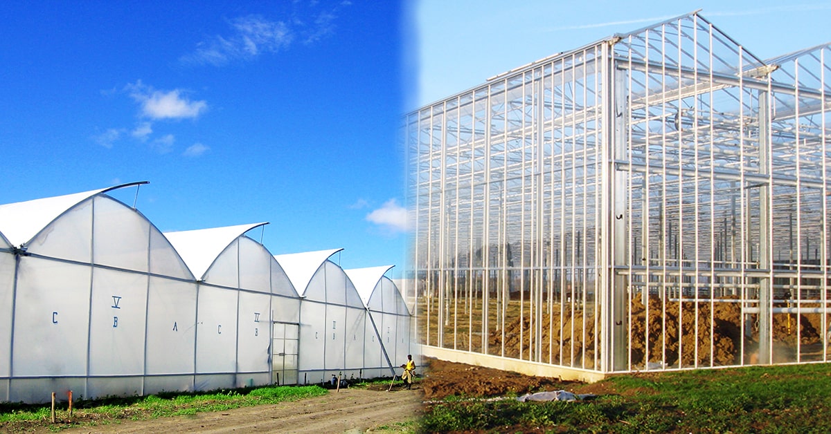 Foil and Glass Greenhouses