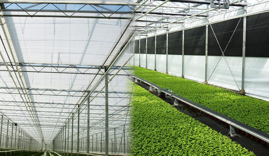 Greenhouse Screening Systems