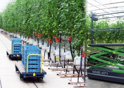 Greenhouse Train and Trolley