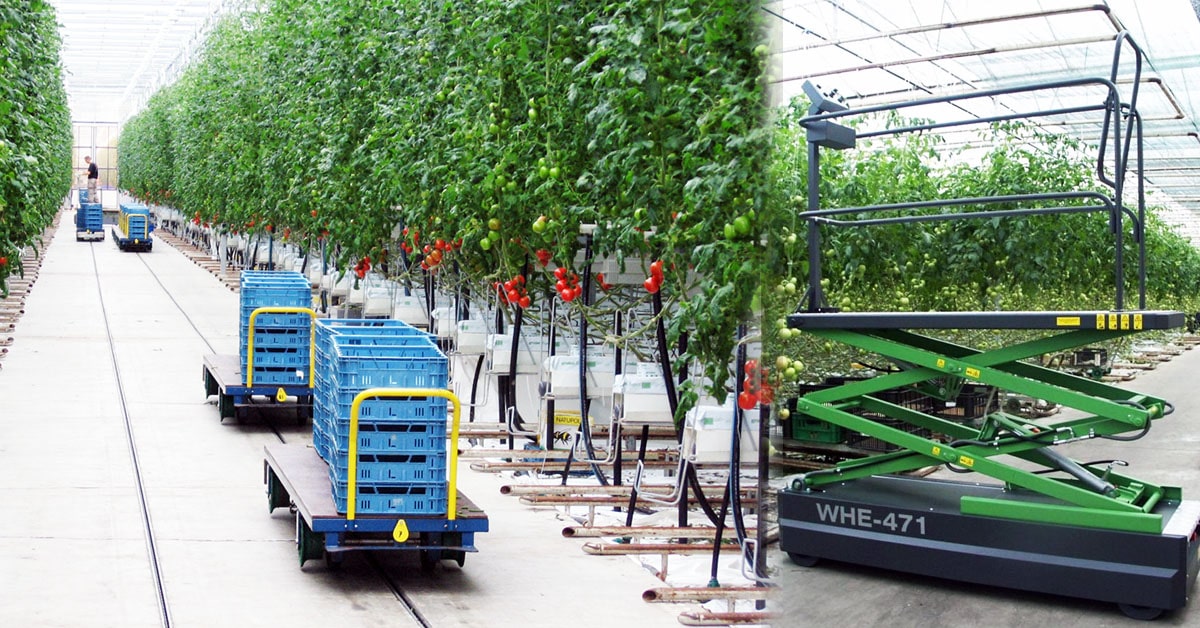 Greenhouse Train and Trolley