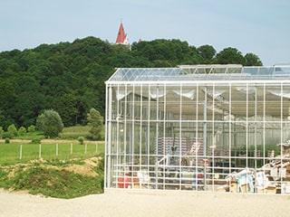 New Greenhouse - Corner View