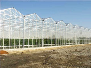 New Greenhouse