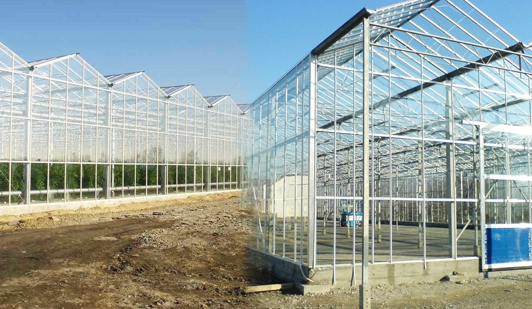 A New or a Secondhand Glass Greenhouse ?