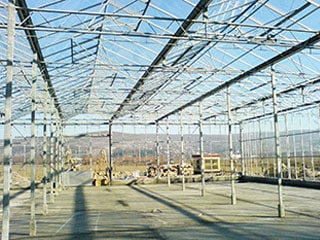 Secondhand Greenhouse Inner Structure