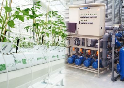 Tomato Irrigation Systems