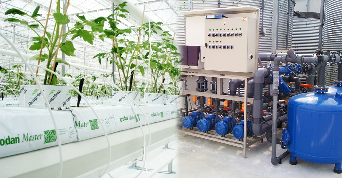 Tomato Irrigation Systems