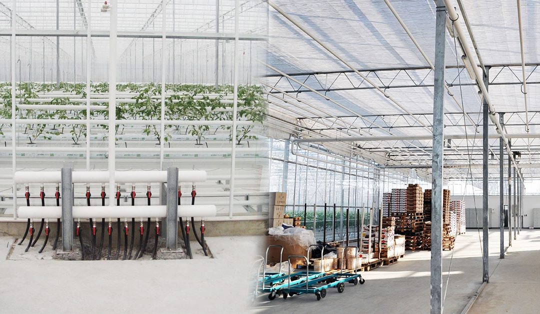 Heating Systems Within a Greenhouse Service-Packing Areas and Corridors