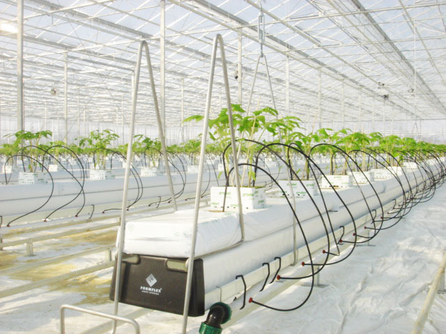 Greenhouse heating systems 8m bay